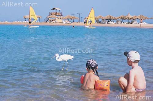 Club Azur Resort 7